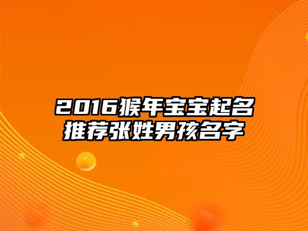 2016猴年宝宝起名推荐张姓男孩名字