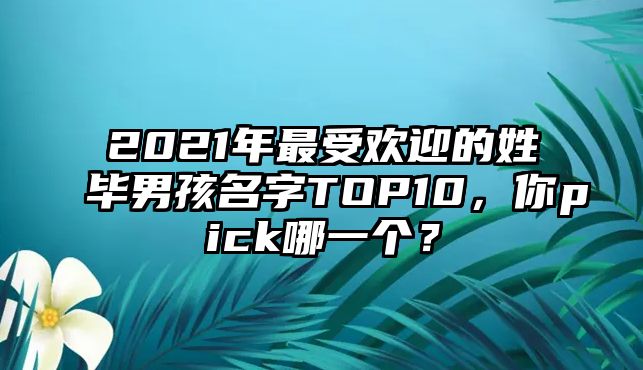 2021年最受欢迎的姓毕男孩名字TOP10，你pick哪一个？