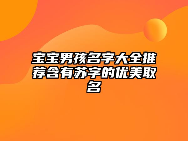 宝宝男孩名字大全推荐含有苏字的优美取名