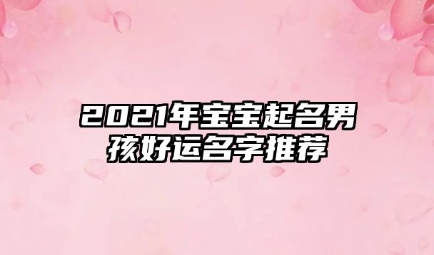 2021年宝宝起名男孩好运名字推荐