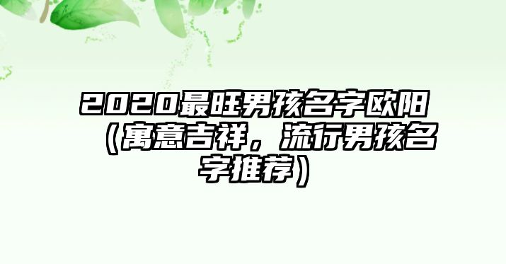 2020最旺男孩名字欧阳（寓意吉祥，流行男孩名字推荐）