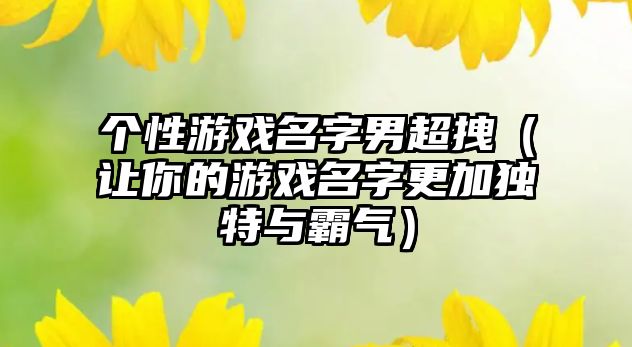 个性游戏名字男超拽（让你的游戏名字更加独特与霸气）