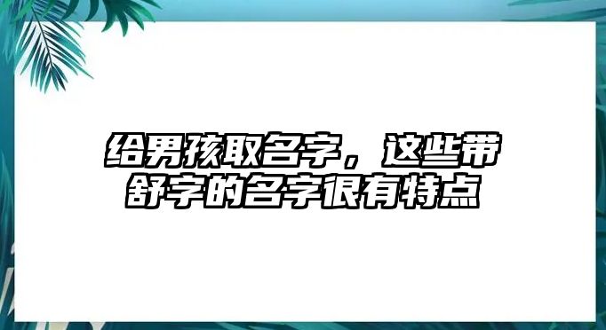 给男孩取名字，这些带舒字的名字很有特点