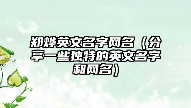 郑烨英文名字网名（分享一些独特的英文名字和网名）