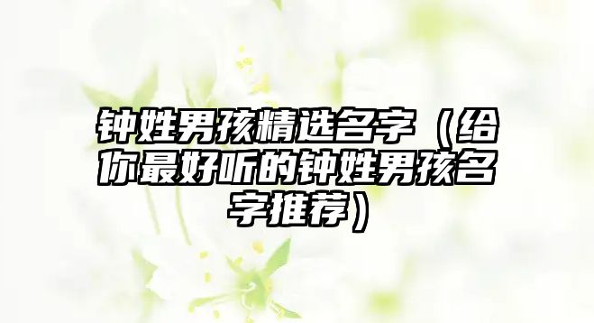 钟姓男孩精选名字（给你最好听的钟姓男孩名字推荐）