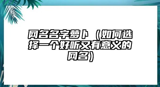 网名名字萝卜（如何选择一个好听又有意义的网名）