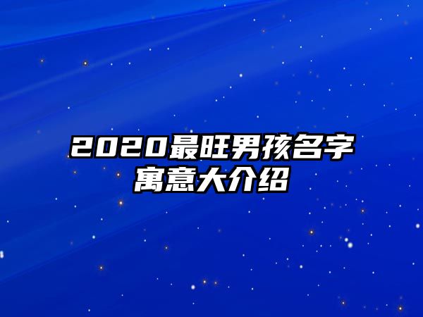 2020最旺男孩名字寓意大介绍