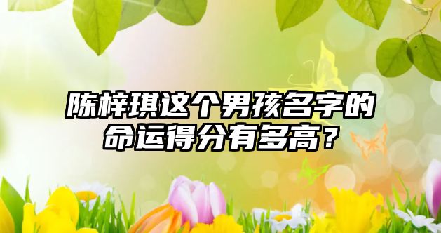 陈梓琪这个男孩名字的命运得分有多高？