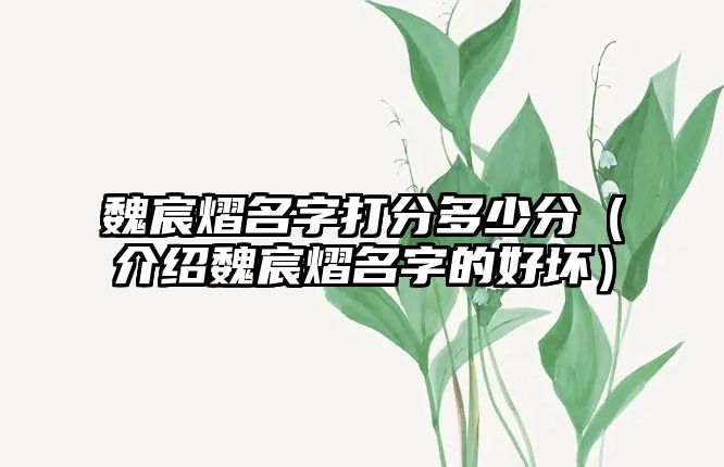 魏宸熠名字打分多少分（介绍魏宸熠名字的好坏）