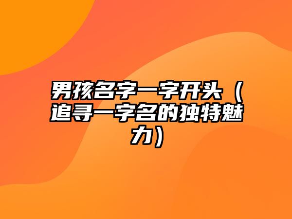 男孩名字一字开头（追寻一字名的独特魅力）