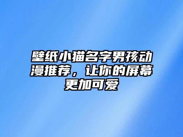 壁纸小猫名字男孩动漫推荐，让你的屏幕更加可爱