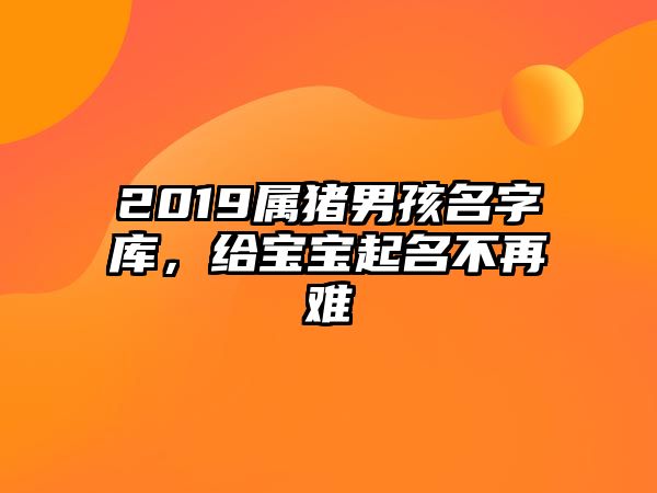 2019属猪男孩名字库，给宝宝起名不再难