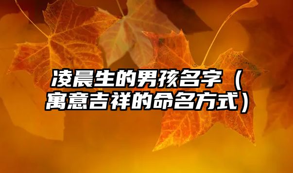 凌晨生的男孩名字（寓意吉祥的命名方式）