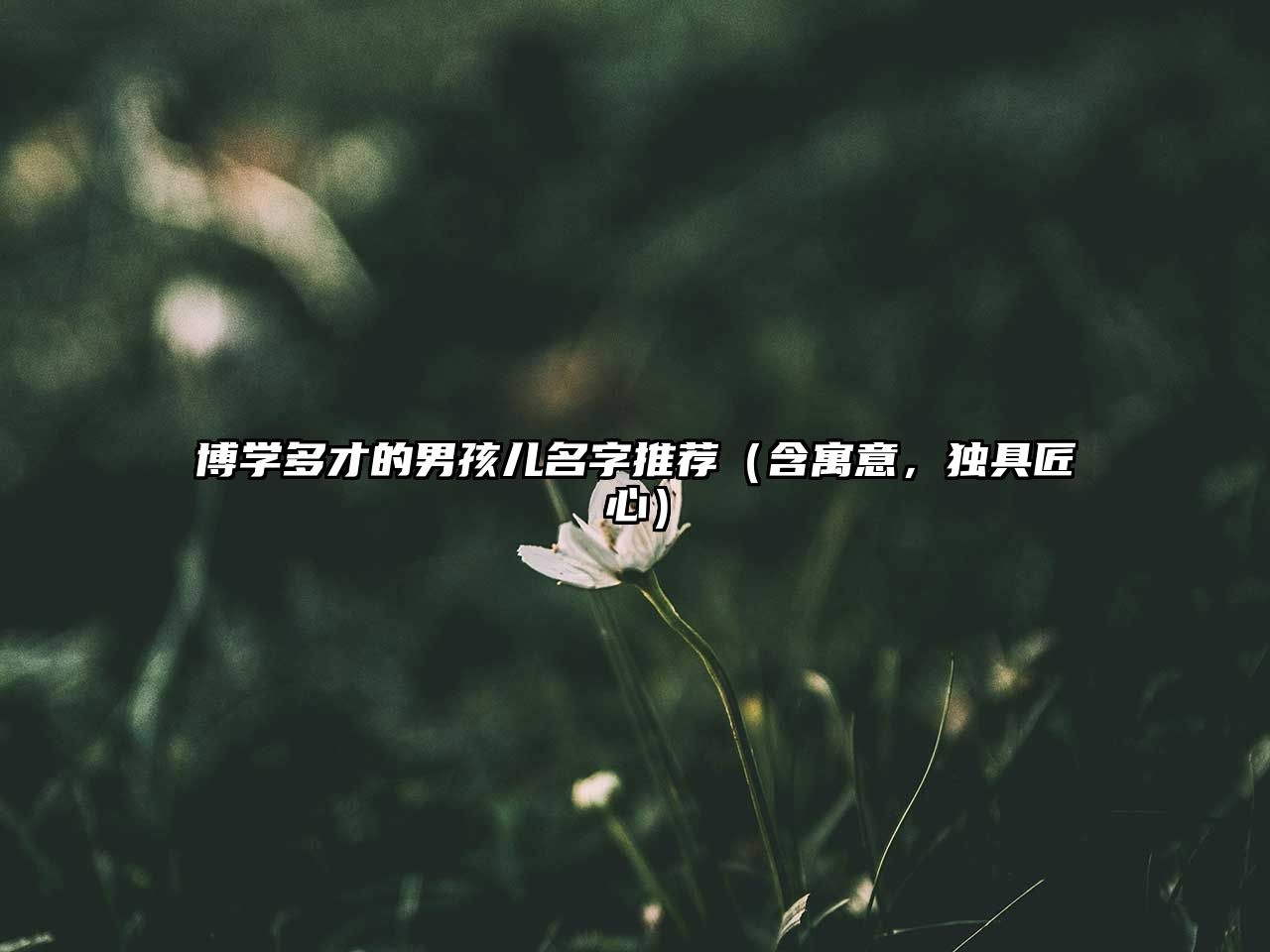 博学多才的男孩儿名字推荐（含寓意，独具匠心）