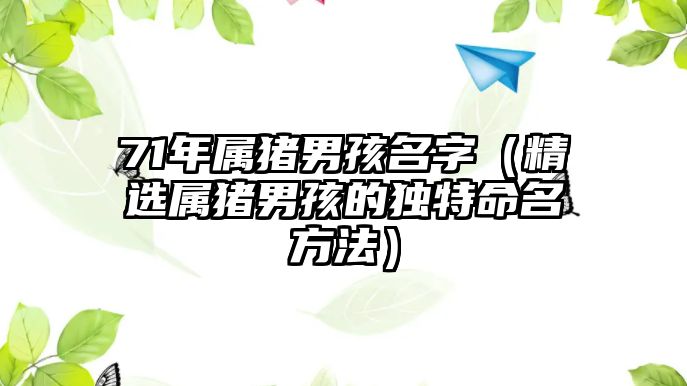 71年属猪男孩名字（精选属猪男孩的独特命名方法）