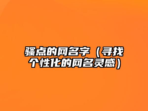 骚点的网名字（寻找个性化的网名灵感）