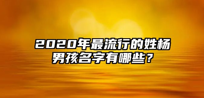 2020年最流行的姓杨男孩名字有哪些？