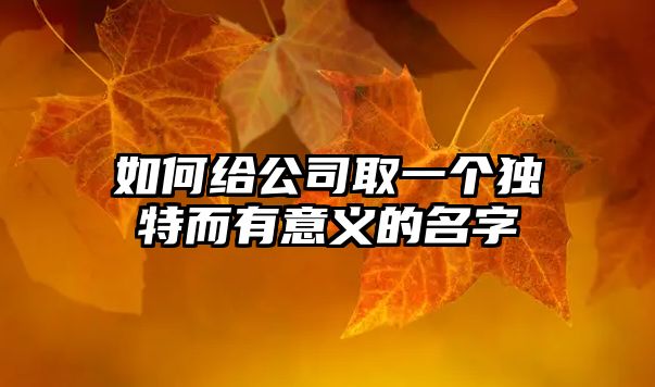 如何给公司取一个独特而有意义的名字