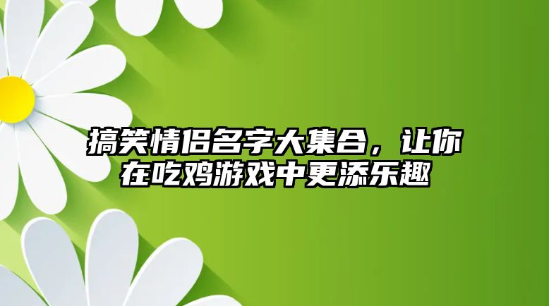 搞笑情侣名字大集合，让你在吃鸡游戏中更添乐趣