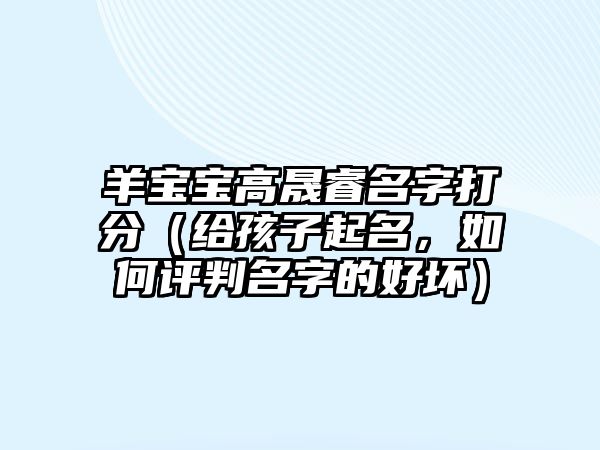 羊宝宝高晟睿名字打分（给孩子起名，如何评判名字的好坏）