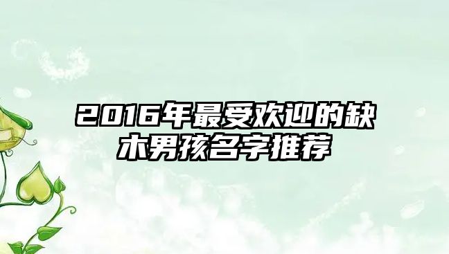 2016年最受欢迎的缺木男孩名字推荐