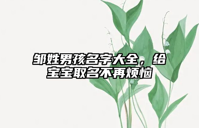 邹姓男孩名字大全，给宝宝取名不再烦恼