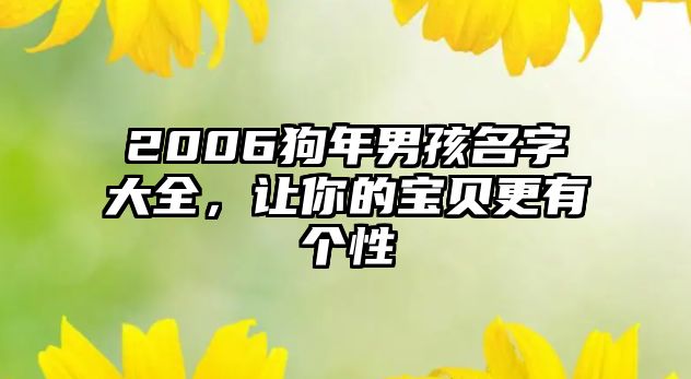 2006狗年男孩名字大全，让你的宝贝更有个性