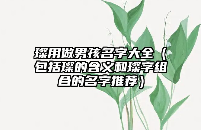 璨用做男孩名字大全（包括璨的含义和璨字组合的名字推荐）