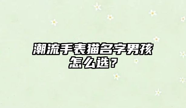 潮流手表猫名字男孩怎么选？