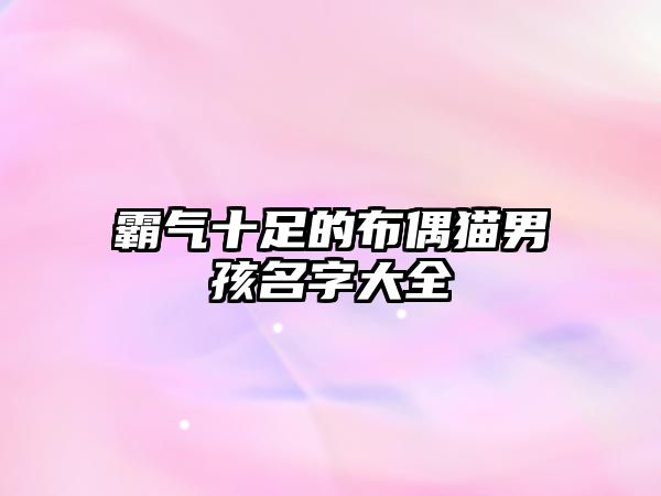 霸气十足的布偶猫男孩名字大全