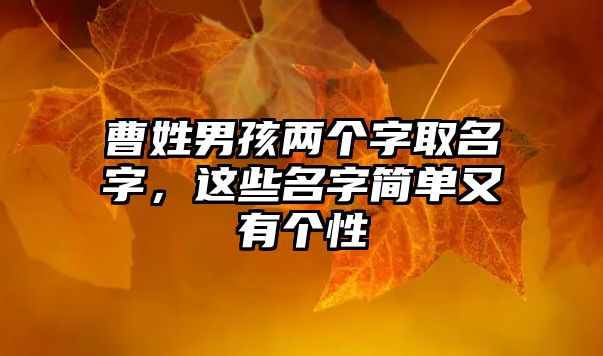 曹姓男孩两个字取名字，这些名字简单又有个性