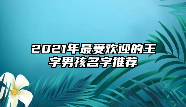 2021年最受欢迎的王字男孩名字推荐