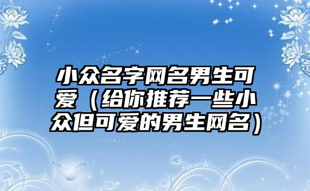 小众名字网名男生可爱（给你推荐一些小众但可爱的男生网名）