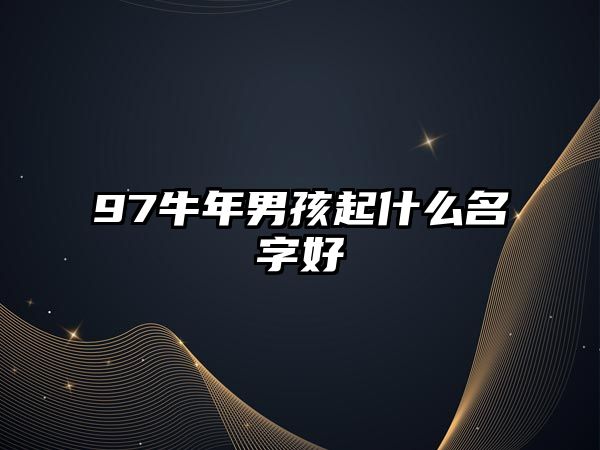 97牛年男孩起什么名字好