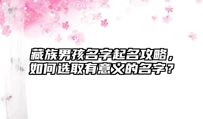 藏族男孩名字起名攻略，如何选取有意义的名字？