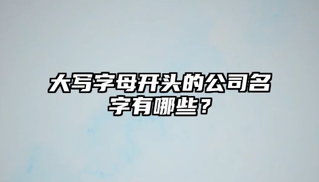 大写字母开头的公司名字有哪些？