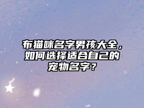 布猫咪名字男孩大全，如何选择适合自己的宠物名字？