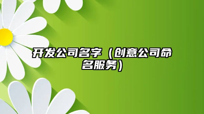 开发公司名字（创意公司命名服务）