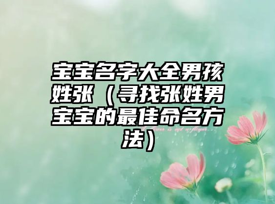 宝宝名字大全男孩姓张（寻找张姓男宝宝的最佳命名方法）