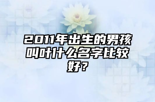 2011年出生的男孩叫叶什么名字比较好？