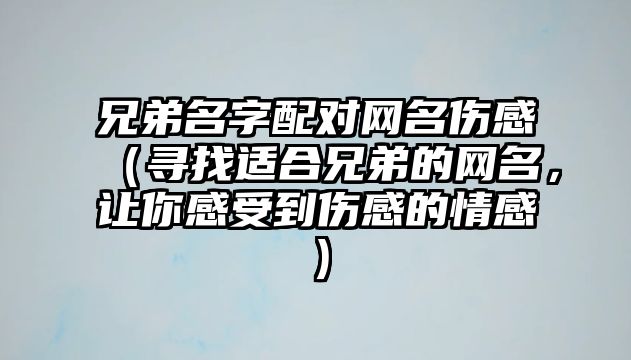 兄弟名字配对网名伤感（寻找适合兄弟的网名，让你感受到伤感的情感）