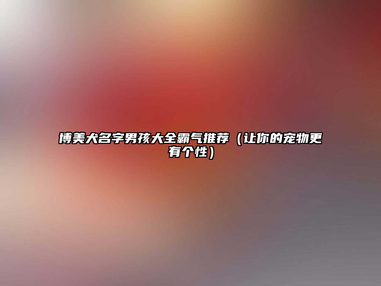 博美犬名字男孩大全霸气推荐（让你的宠物更有个性）