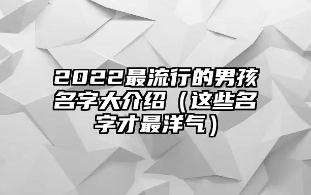 2022最流行的男孩名字大介绍（这些名字才最洋气）