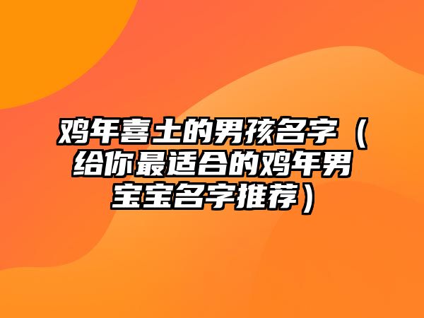 鸡年喜土的男孩名字（给你最适合的鸡年男宝宝名字推荐）