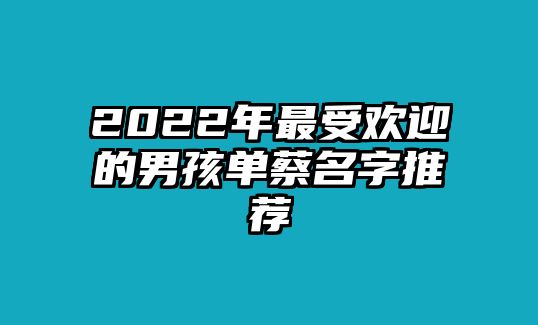 2022年最受欢迎的男孩单蔡名字推荐