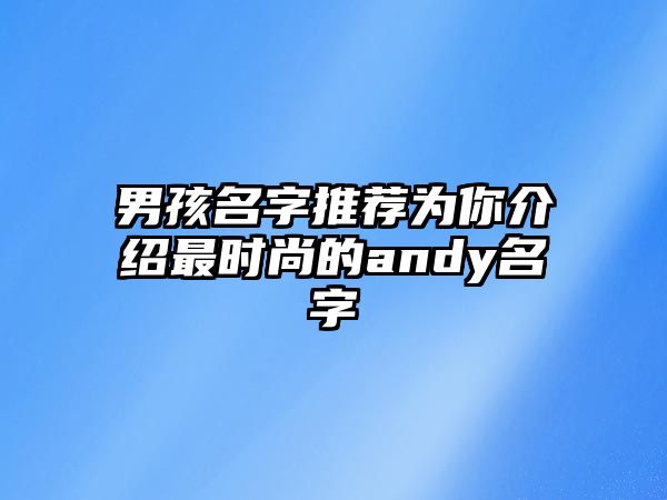 男孩名字推荐为你介绍最时尚的andy名字