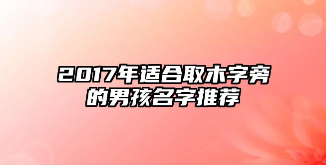 2017年适合取木字旁的男孩名字推荐