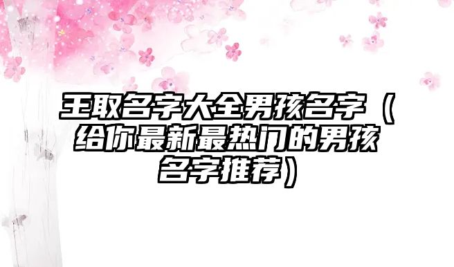 王取名字大全男孩名字（给你最新最热门的男孩名字推荐）