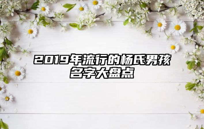 2019年流行的杨氏男孩名字大盘点