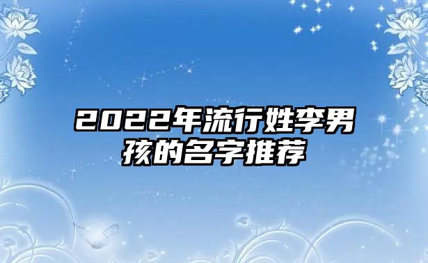2022年流行姓李男孩的名字推荐